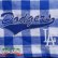 画像2: LA Dodgersチェック柄ショートパンツ2　【official】 (2)