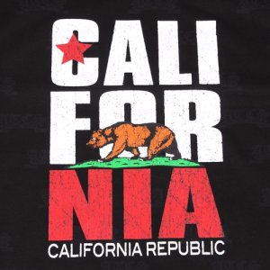 画像2: CALIFORNIA　Tシャツ