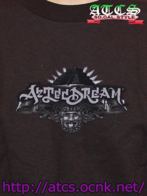 画像5: 【AZTEC DREAM】Tシャツ１
